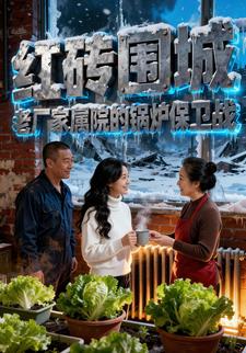 红砖围城：老厂家属院的锅炉保卫战