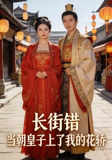 长街错当朝皇子上了我的花轿