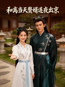 和离当天赘婿连夜出京