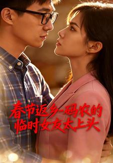 春节返乡，码农的临时女友太上头