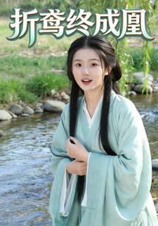折鸢终成凰
