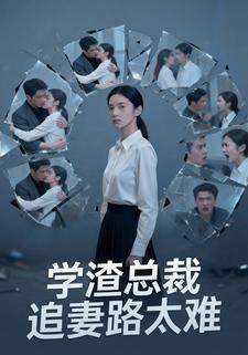 学渣总裁追妻路太难