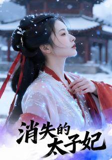 消失的太子妃