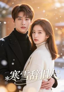 寒雪辞旧人