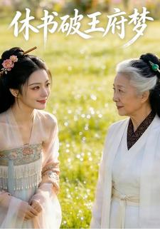 休书破王府梦