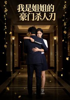 我是姐姐的豪门杀人刀