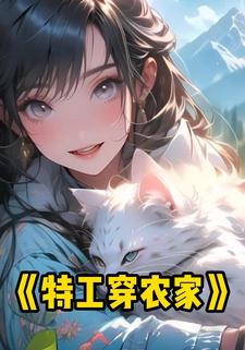特工穿农家