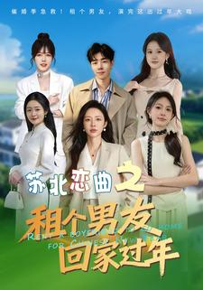 苏北恋曲之租个男友回家过年