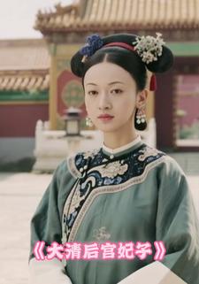 大清后宫妃子
