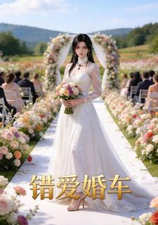 错爱婚车