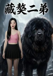 藏獒二弟