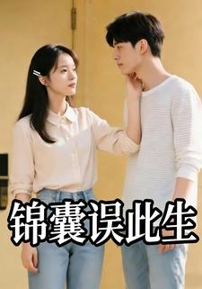 锦囊误此生