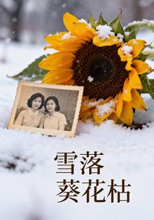雪落葵花枯
