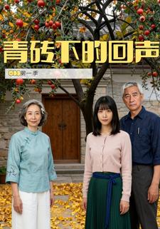 青砖下的回声第一季