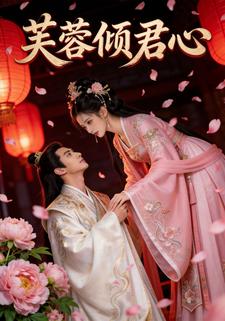 芙蓉倾君心
