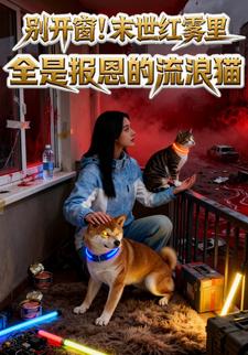 别开窗！末世红雾里全是报恩的流浪猫