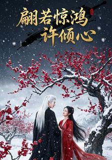 翩若惊鸿许倾心