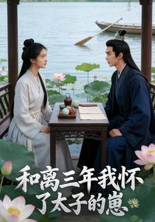 和离三年我怀了太子的崽