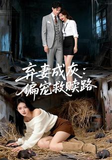 弃妻成灰：偏宠救赎路