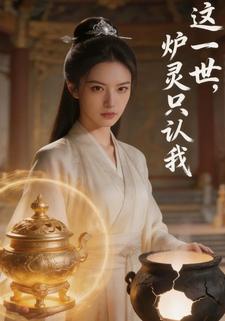 这一世，炉灵只认我