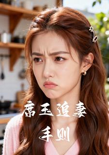 席玉追妻手则