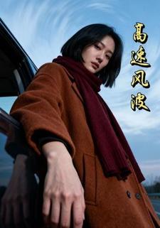 高速风波