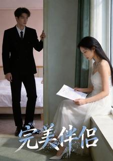 完美伴侣