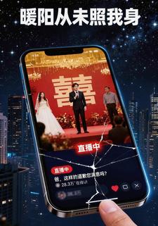 暖阳从未照我身