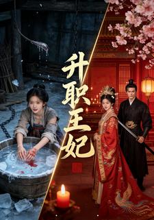 升职王妃