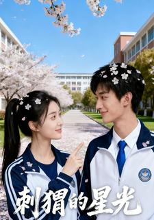 刺猬的星光