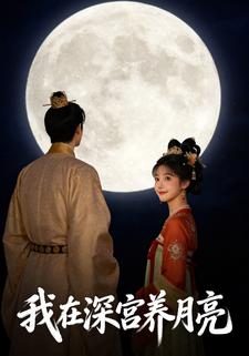 我在深宫养月亮