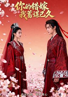 你的错嫁我蓄谋已久