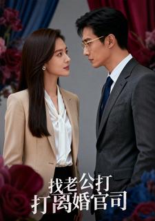 找老公打离婚官司