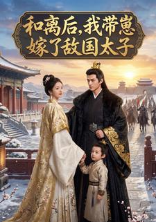 和离后，我带崽嫁了敌国太子