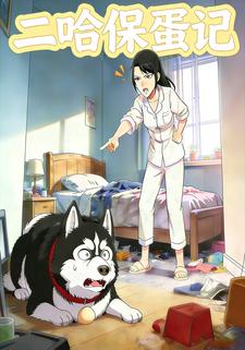二哈保蛋记