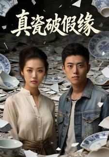 真瓷破假缘