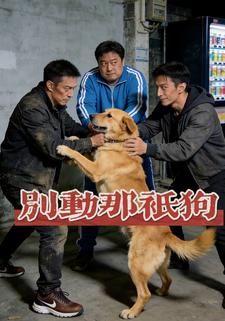 别动那只狗