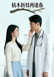 枯木折枝再逢春