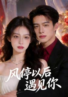 风停以后遇见你