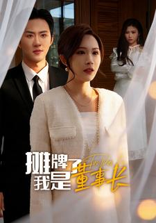 摊牌了我是董事长