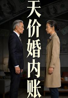 天价婚内账