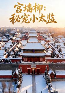 宫墙柳：秘宠小太监