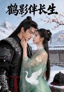 鹤影伴长生