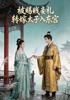 被赐贱妾礼，转嫁太子入东宫