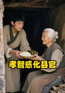 孝智感化县官
