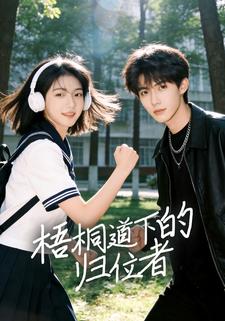 梧桐道下的归位者