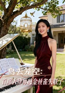 鸟去笼空：首席大律师的金丝雀失联了