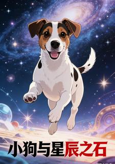 小狗与星辰之石