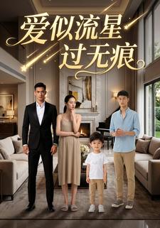 爱似流星过无痕