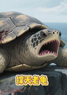 撑天老龟